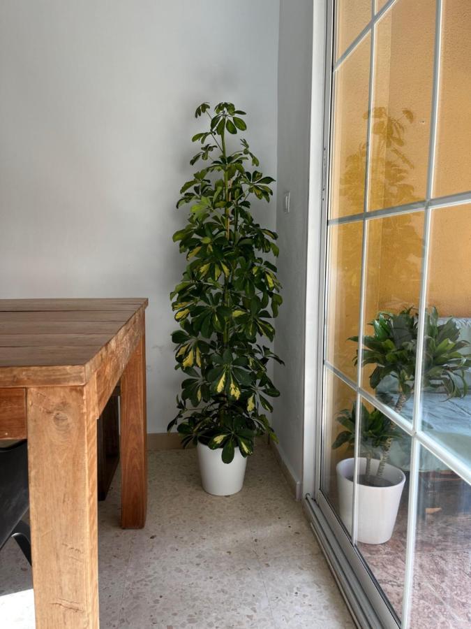 Apartamento La Biznaga Малага Екстериор снимка