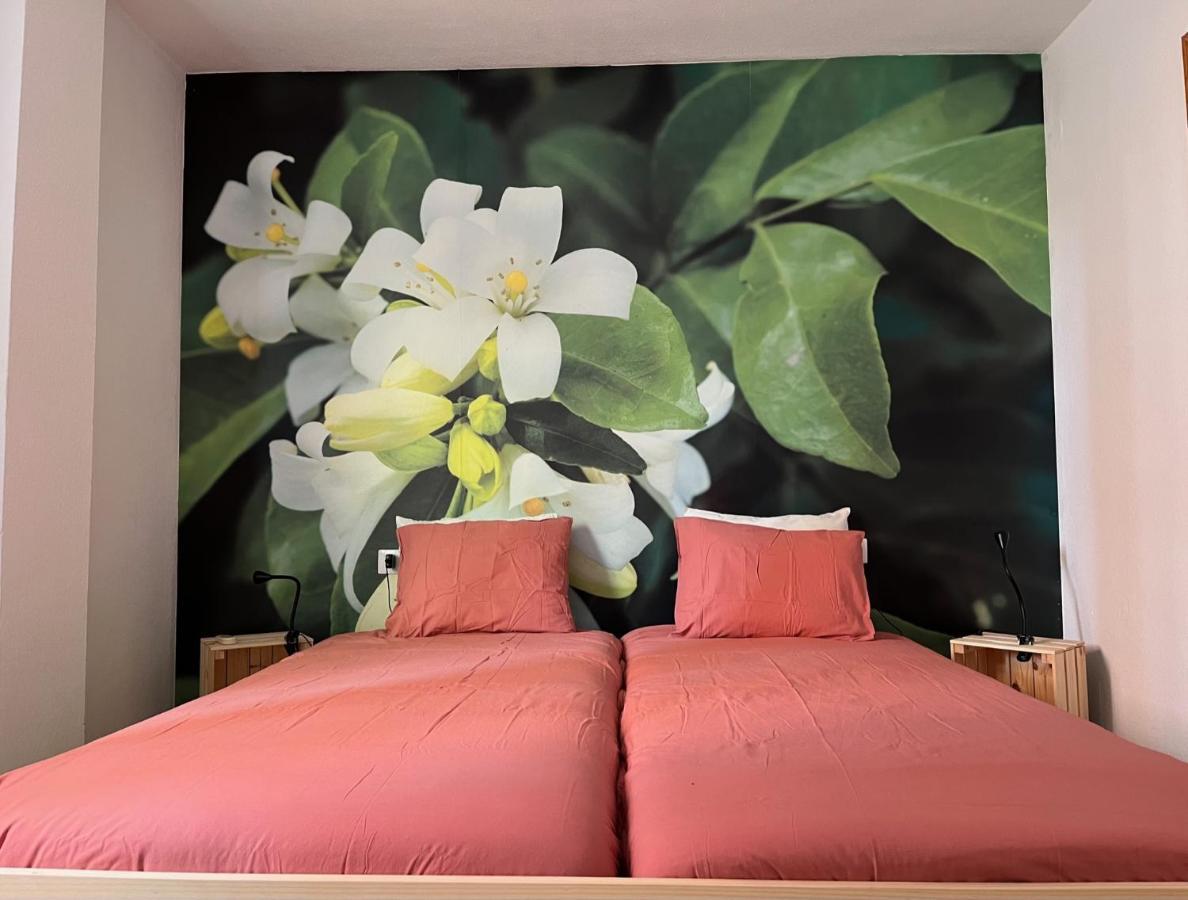 Apartamento La Biznaga Малага Екстериор снимка